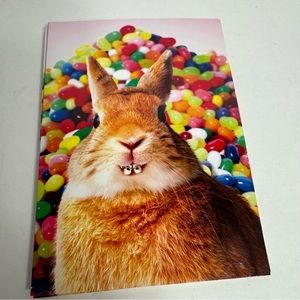 4 Avanti Greeting cards -bunny in braces with colorful jellybeans. Easter card